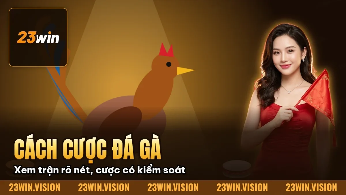 Hình minh họa bài viết: Cách Cược Đá Gà Online 23Win – Hướng Dẫn A-Z Cho Newbie